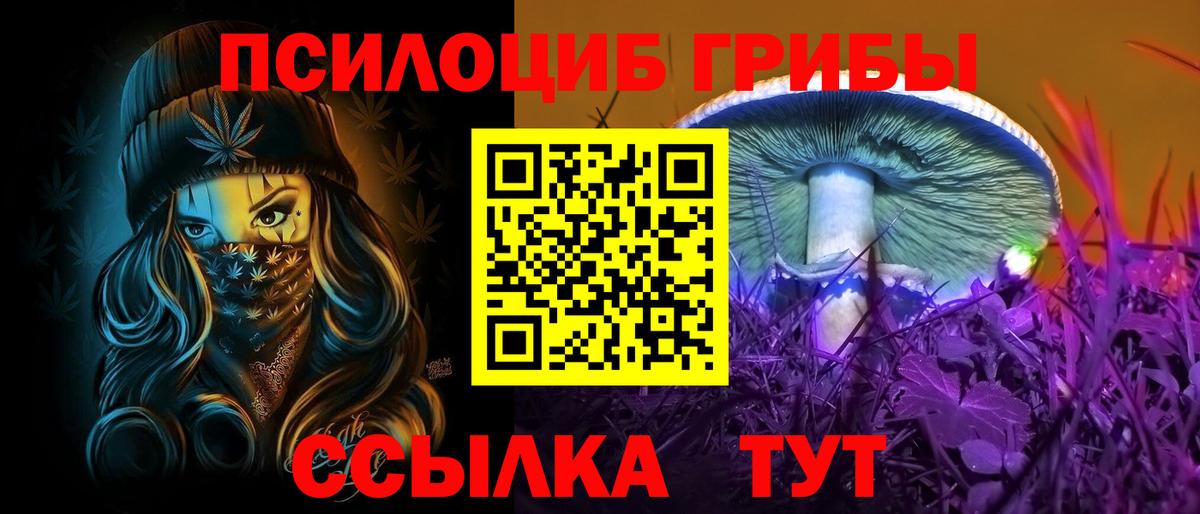 Майкоп  Галлюциногенные грибы Psilocybe  Вход с VPN  Галлюциногенные грибы Psilocybine cubensis 