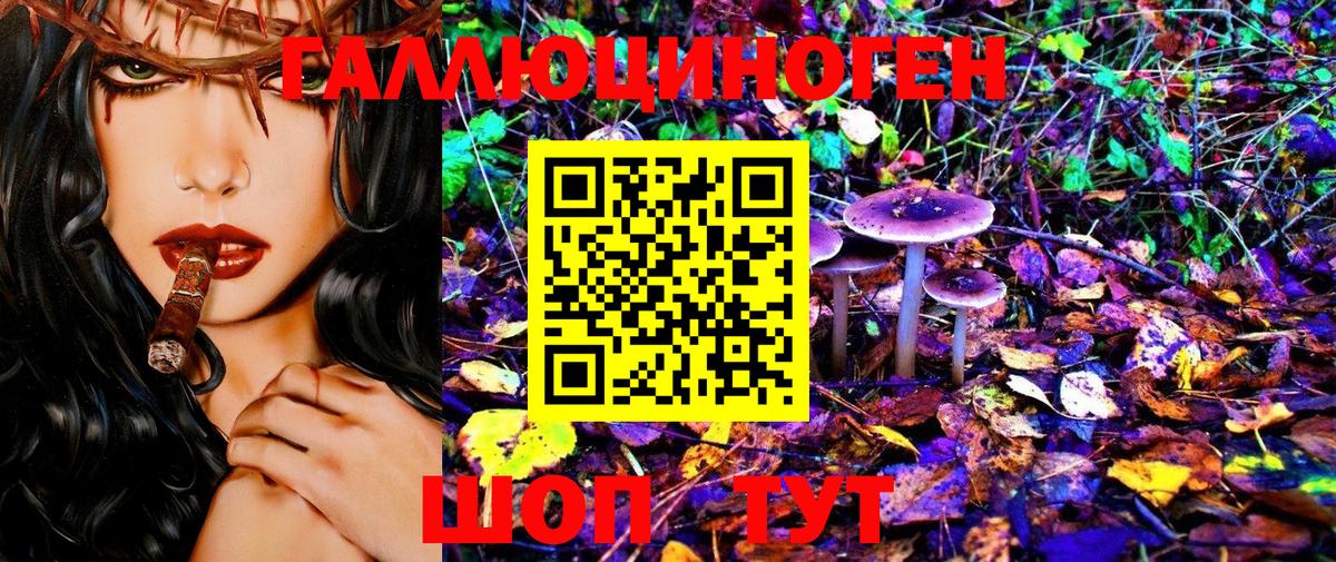 Псилоцибиновые грибы Cubensis Майкоп